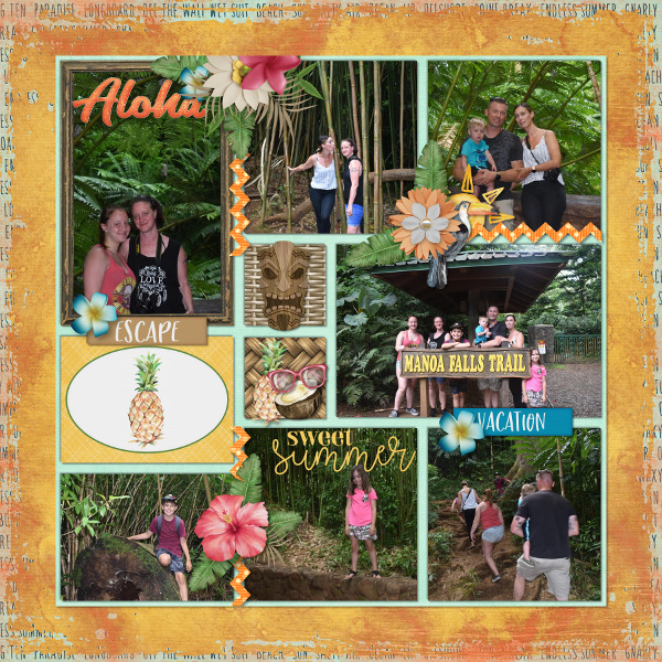 Aloha Manoa Falls