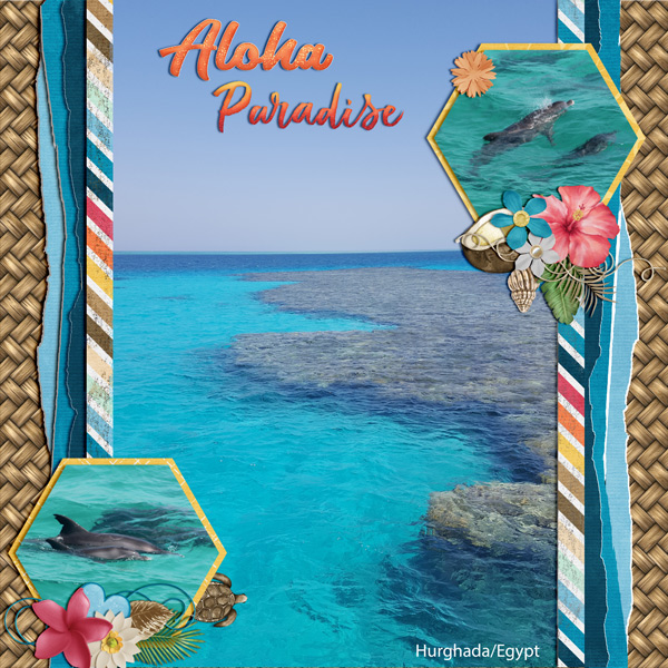 Aloha Paradise