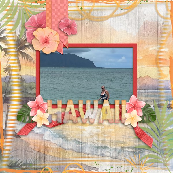 Aloha Summer Adrienne with Flashback 5 Temp #4-JConlon.jpg