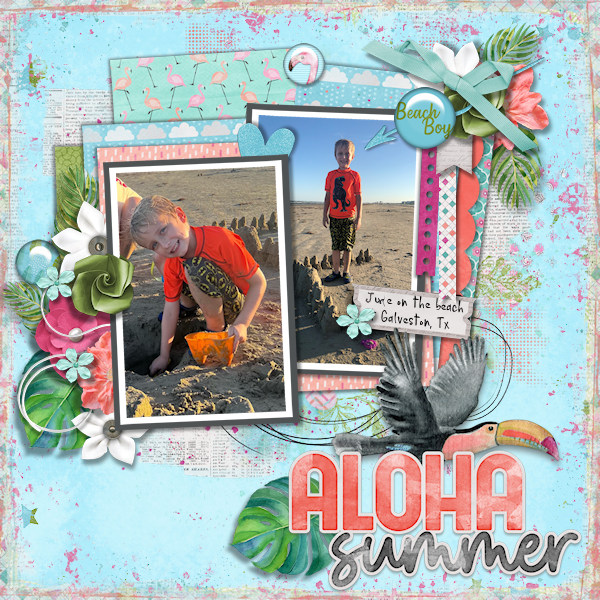 Aloha Summer