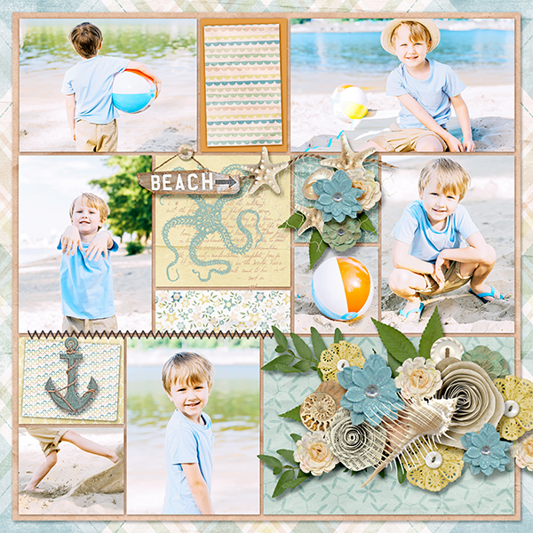 Along the shore