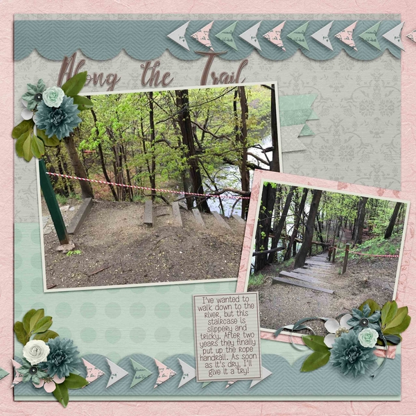 Along the Trail