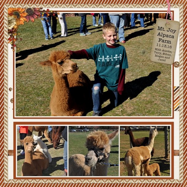 Alpaca Farm