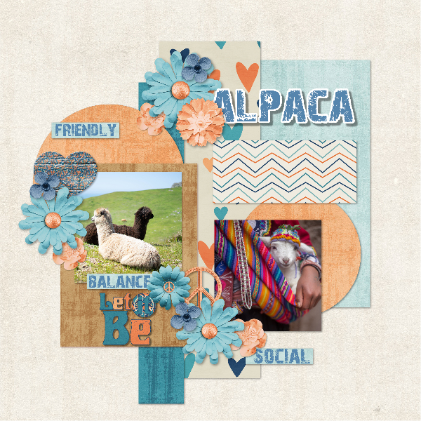 Alpacas