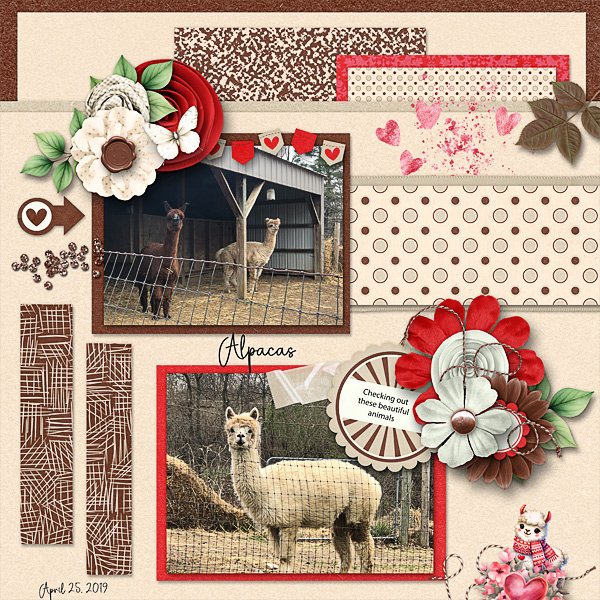 Alpacas