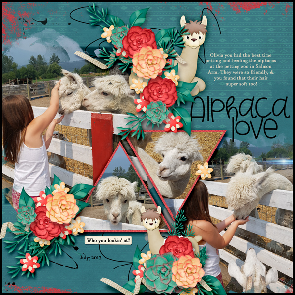 Alpacha Love
