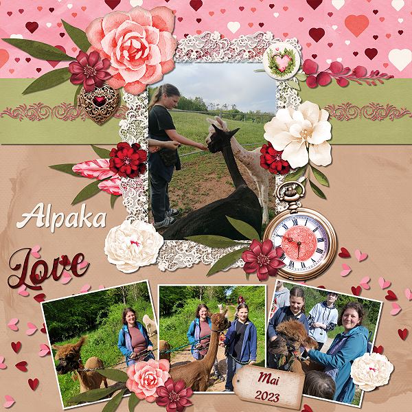 Alpaka love