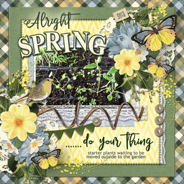 Alright Spring