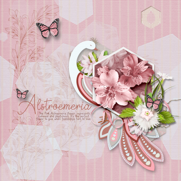 Alstroemeria