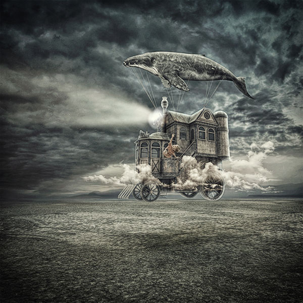 Altered Reality
