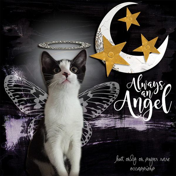 Always an Angel
