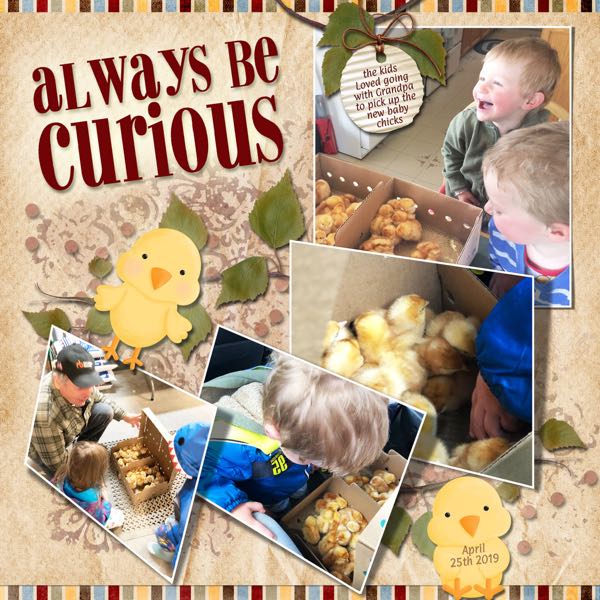 Always be Curious