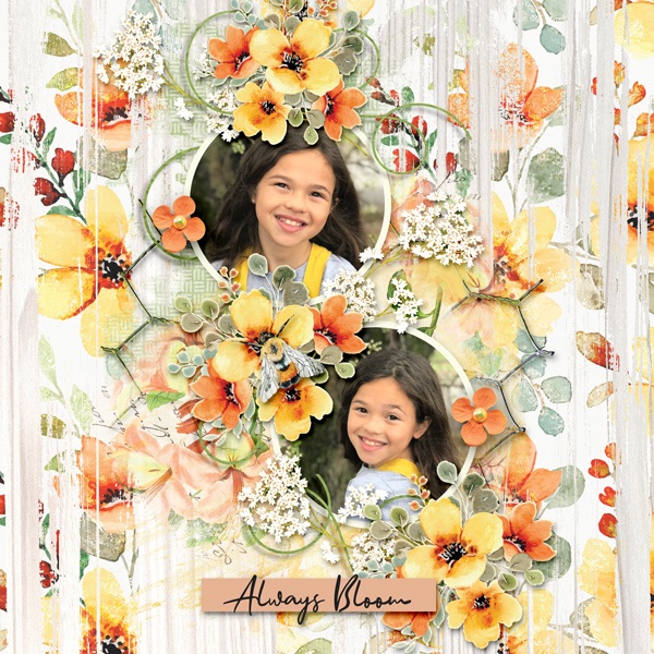 Always-Bloom