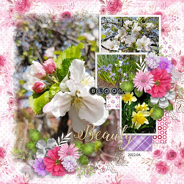 Always bloomig