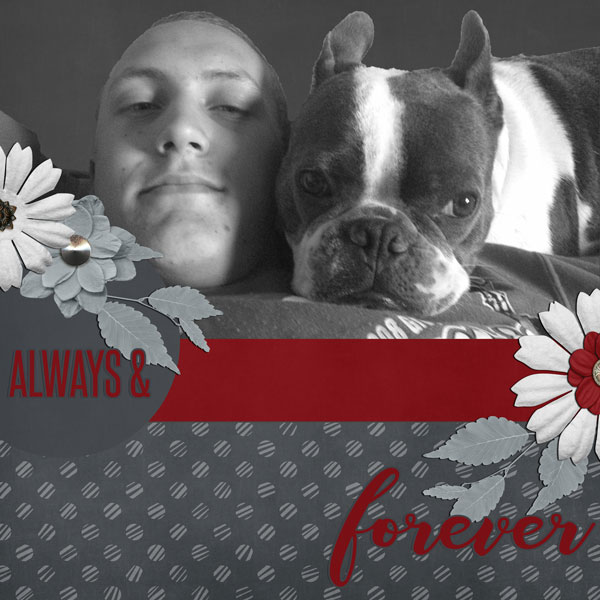 ALWAYS+FOREVER