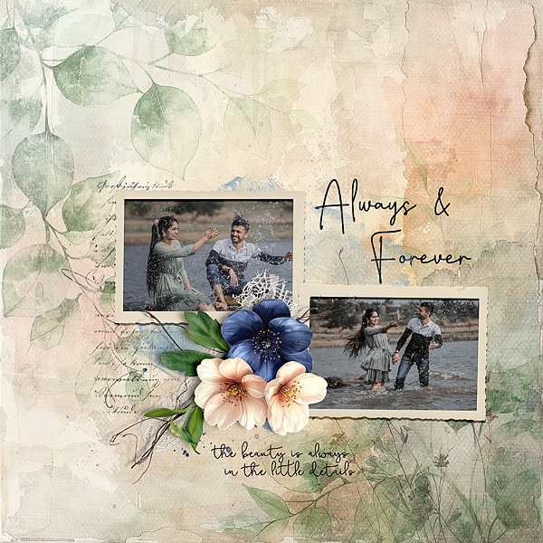 Always & Forever