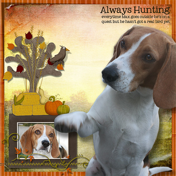 Always Hunting