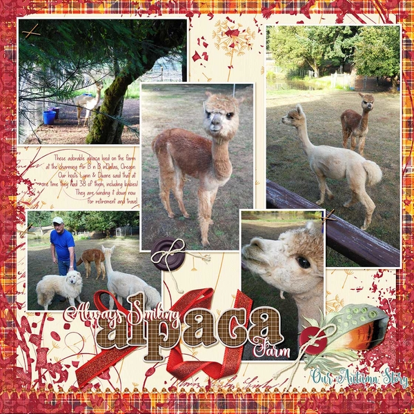 Always Smiling Alpaca Farm