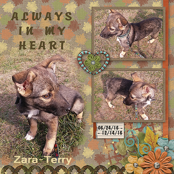 AlwaysInMyHeart_Terry