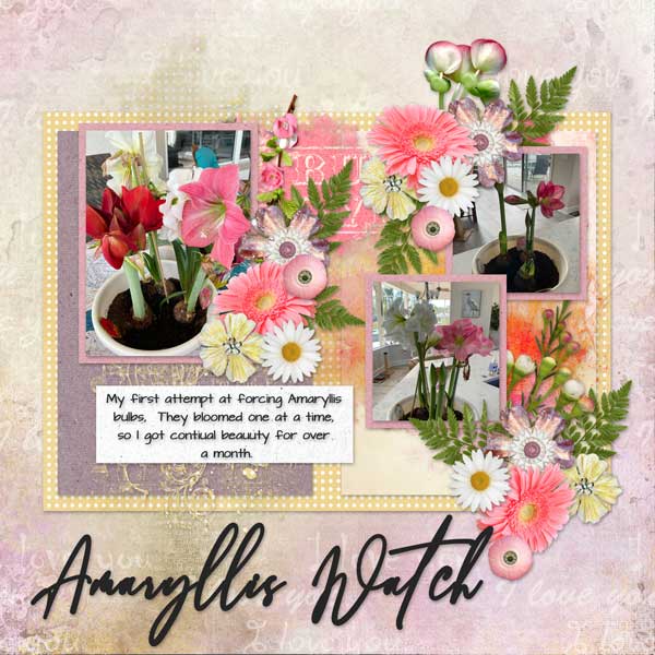Amaryllis Watch