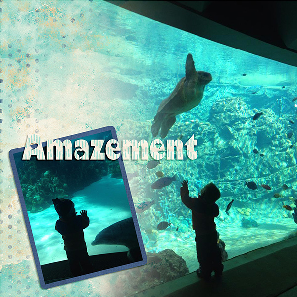 Amazement