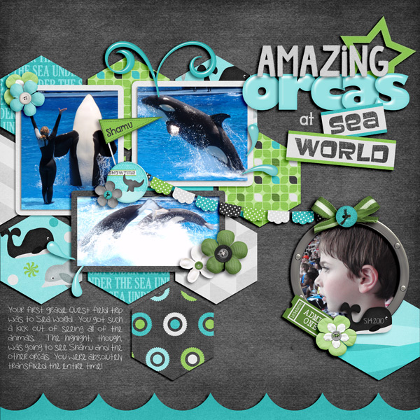 Amazing Orcas