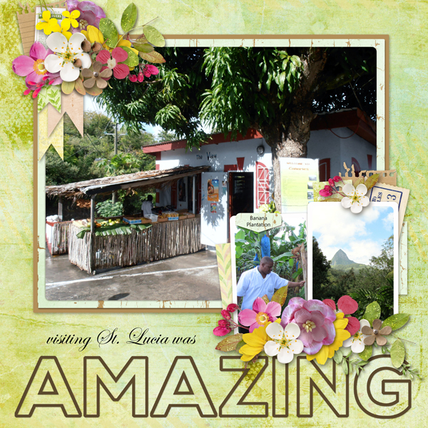 Amazing St. Lucia