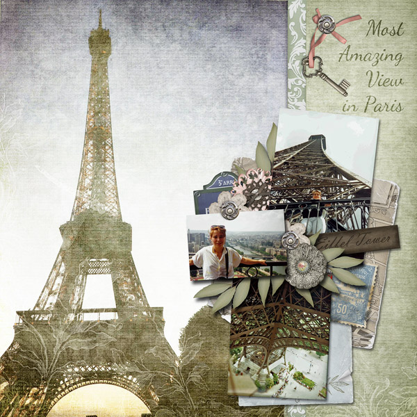 Amazing View in Paris