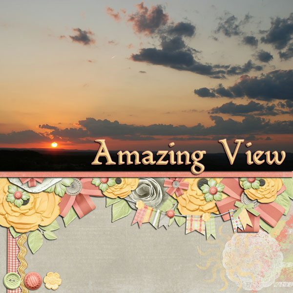 Amazing View