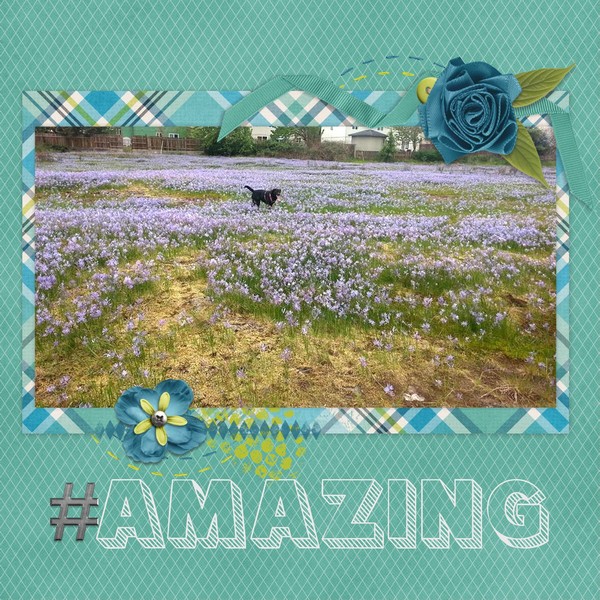 #amazing