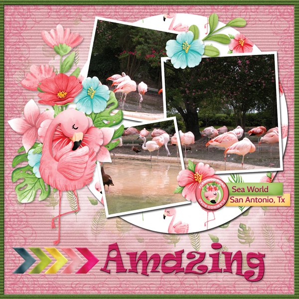 Amazing