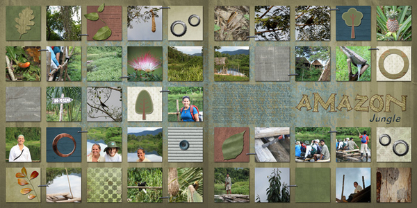 Amazon Jungle - 2 page LO