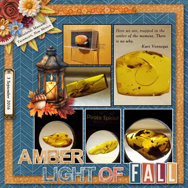 Amber Light of Fall