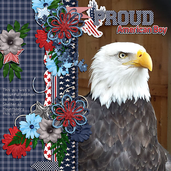 American Boy