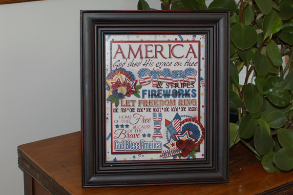 american patriotic print