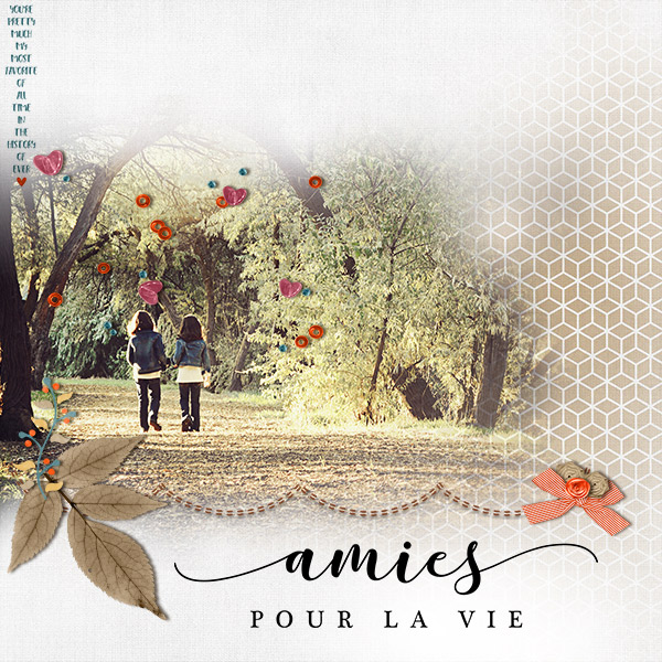 Amies pour la Vie