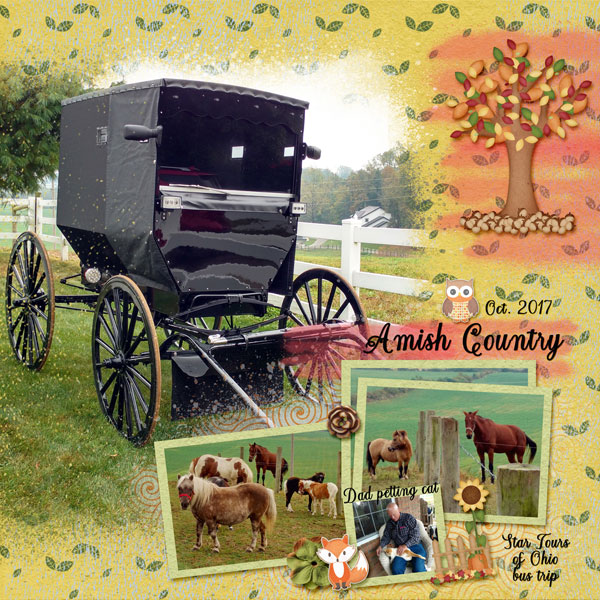 Amish Country