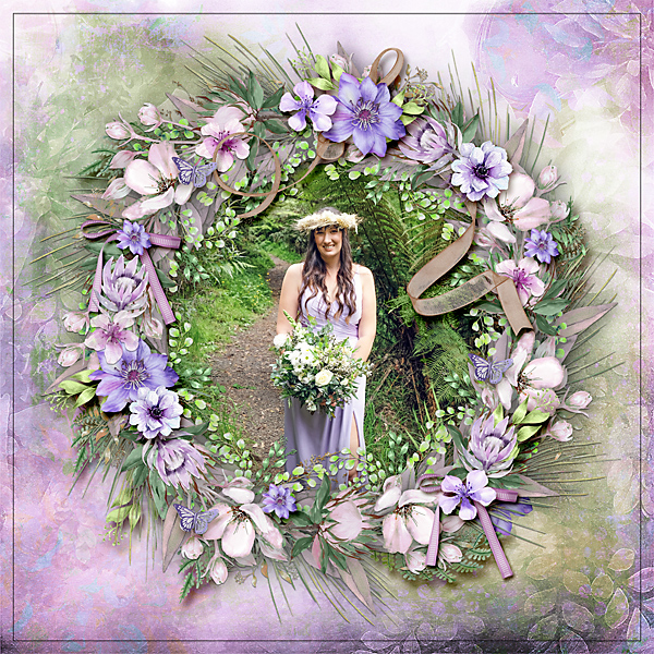 Amongst The Ferns