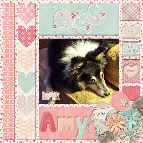 Amy Jan 2, 2014