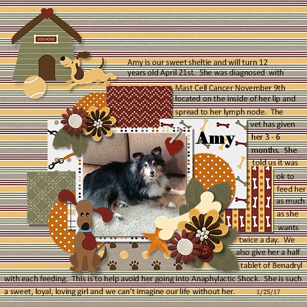 Amy, Jan 25, 2017