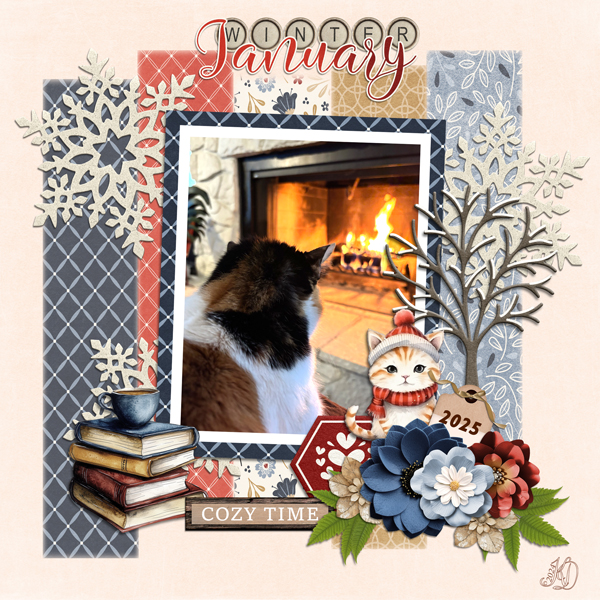 Amy's cozy fire