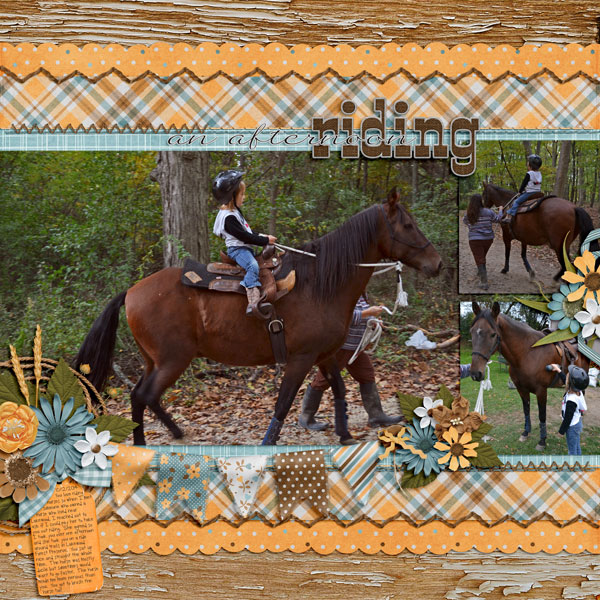 An Afternoon Riding