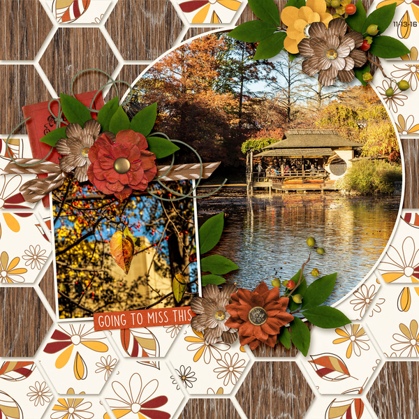 An Autumn Gone By