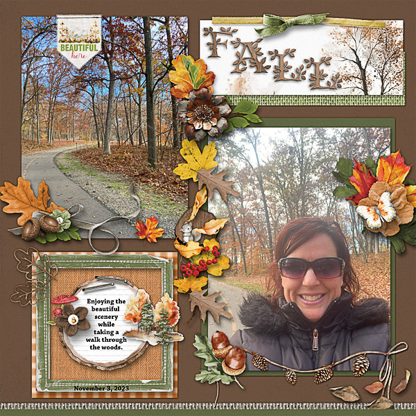 An Autumn Walk in the Woods
