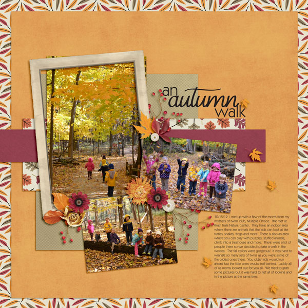 An Autumn Walk