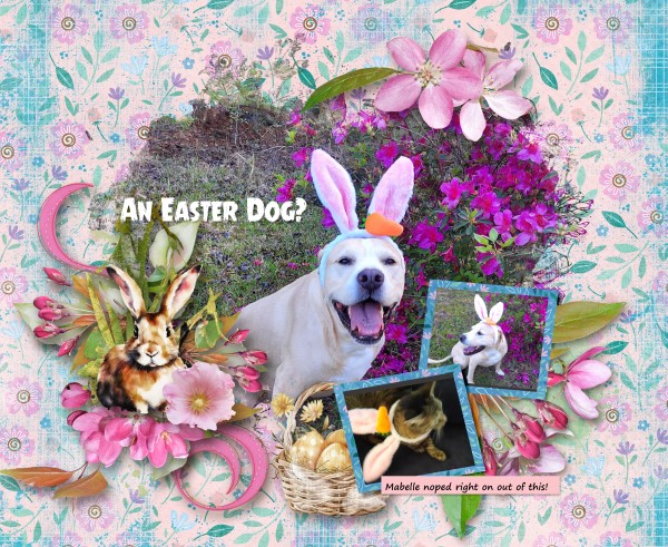 An Easter Dog?