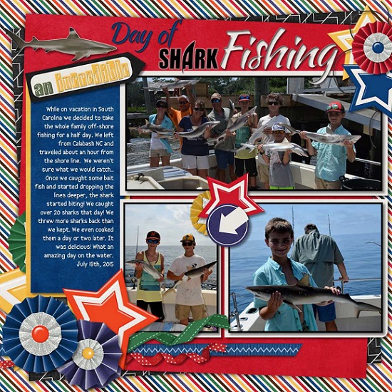 An Incredible day of Shark Fishing