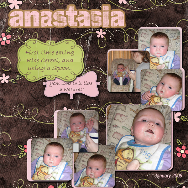 anafood_copy