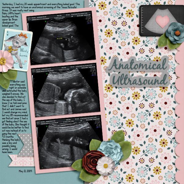 Anatomical Ultrasound