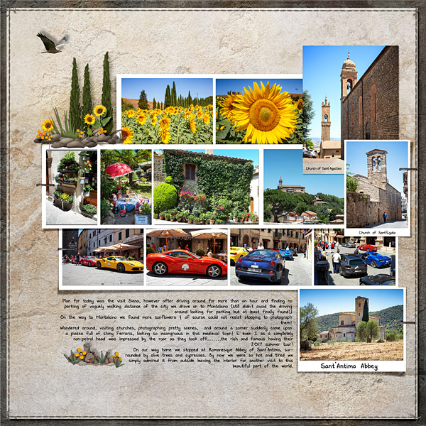 Ancient + Modern in Montalcino RHS